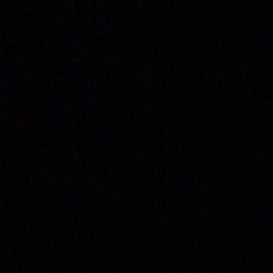 Meet your Posher, Jorge